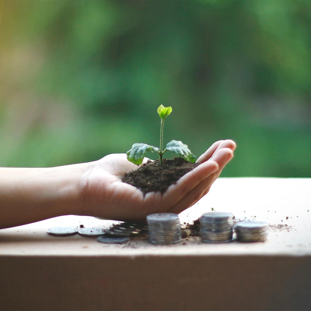 Wealth Management Service